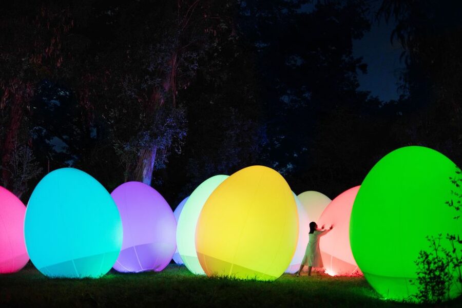 Osaka: teamLab Botanical Garden Entry Ticket - What to wear and bring