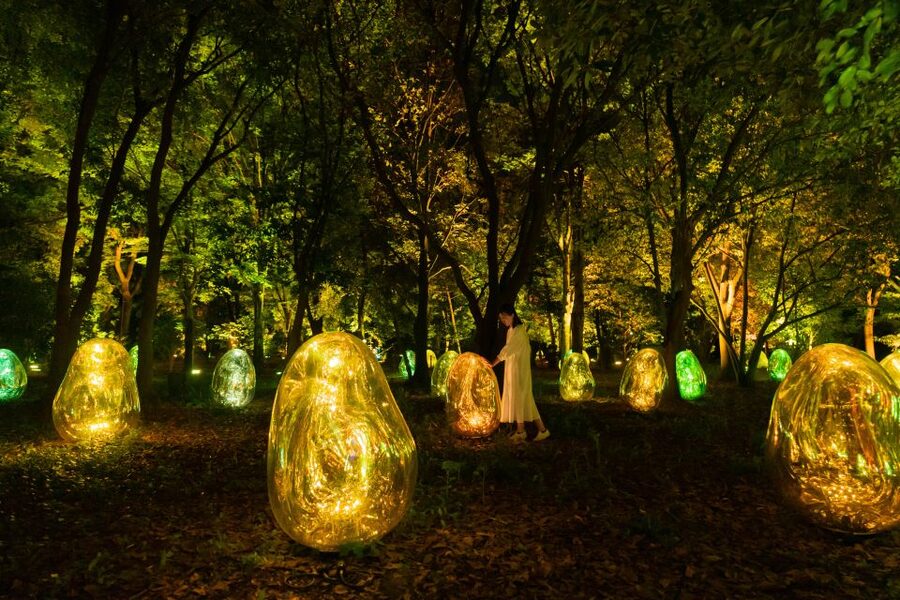 Osaka: teamLab Botanical Garden Entry Ticket - Who will enjoy it most