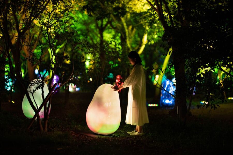 Osaka: teamLab Botanical Garden Entry Ticket - Is the $11 admission good value?