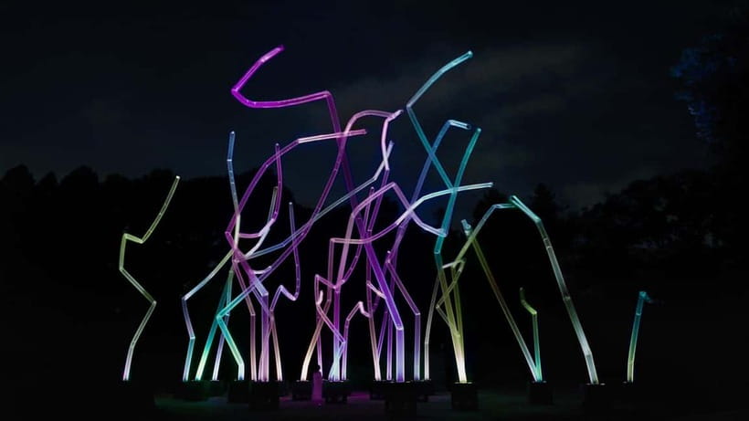 Osaka: teamLab Botanical Garden Entry Ticket - Start with Nagai’s plants, then wait for darkness