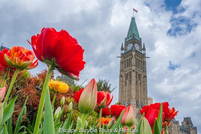 Ottawa Spring Tulip Festival Bike Tour - Why this bike tour works well in Ottawa