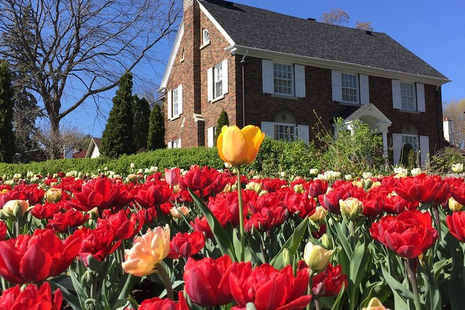 Ottawa Spring Tulip Festival Bike Tour - Little Italy adds a different Ottawa