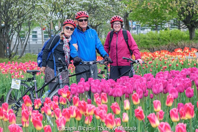Ottawa Spring Tulip Festival Bike Tour - Cycling beside the Ottawa River