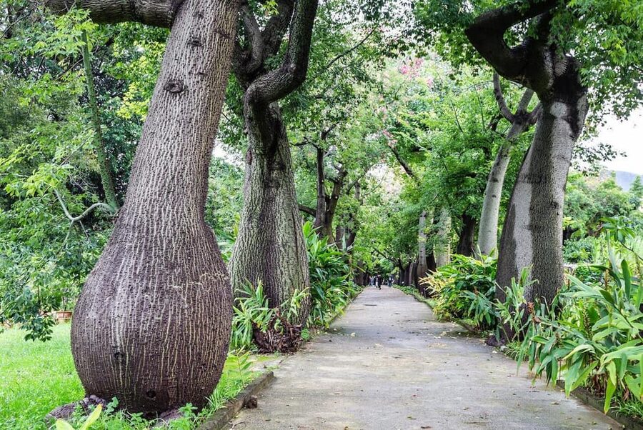 Palermo: Botanical Garden Entry Ticket and Palermo Audio App - Entering Through the Main Gate