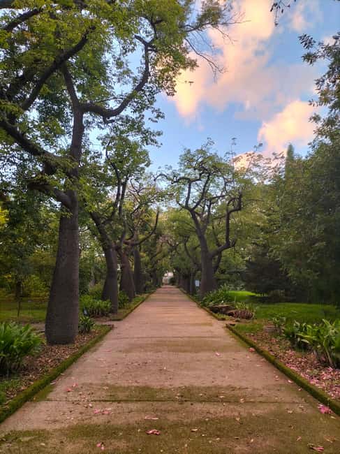 Palermo: Guided Tour of the Botanical Garden - What the 1.5-hour format feels like