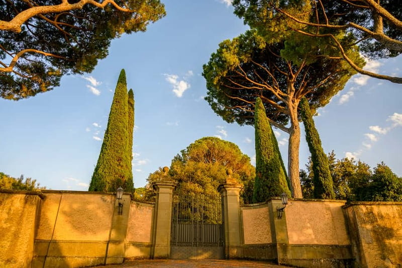 Papal Palace and Secret Garden Ticket and Audio Guide - The terrace view toward Rome