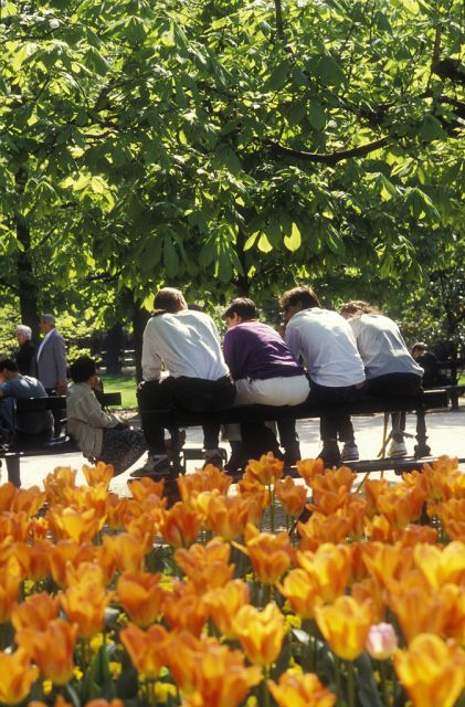 Paris Secret Gardens 1.30 hour long Walking Tour - What the guide adds to the experience