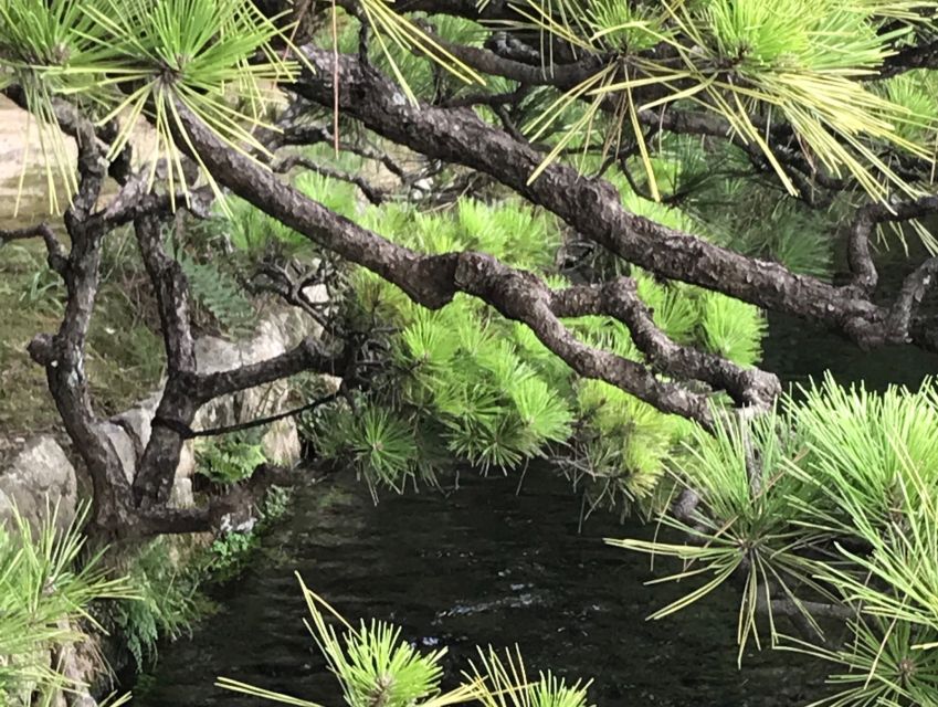 Paris Secret Gardens 1.30 hour long Walking Tour - Is $82 a fair price for two hours?