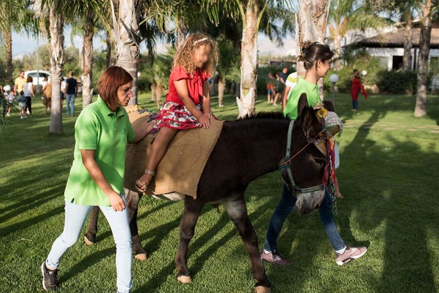 Partinico: Farm's Animals and Aromatic Garden Experience - Why this short farm visit works