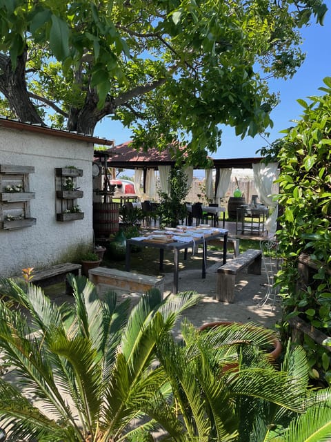 Pasta Cooking Class in a Garden near Pompeii - The family setting is the real attraction