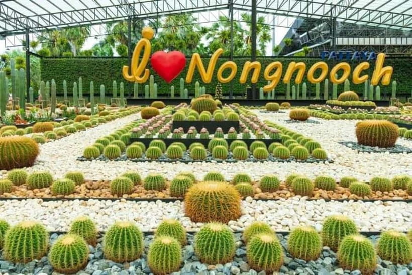 Pattaya: Nong Nooch Tropical Garden Ticket - Who Will Enjoy Nong Nooch Most?