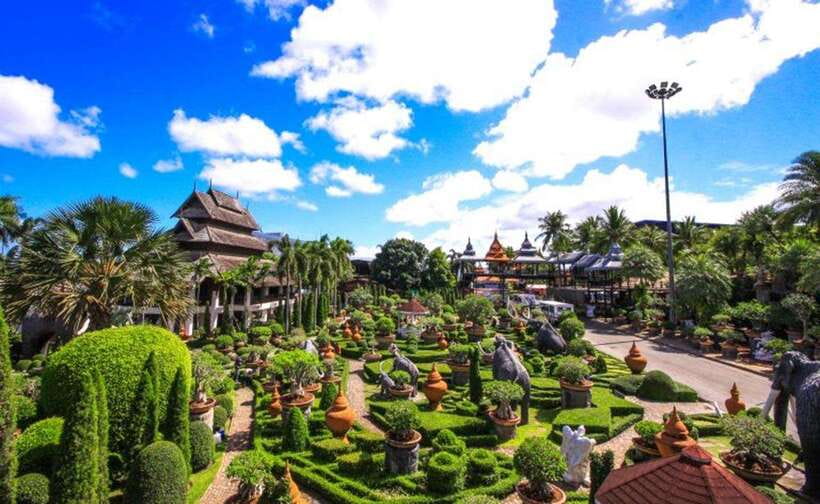 Pattaya: Nong Nooch Tropical Garden Ticket for Foreigners - Cycads, conservation, and the scientific side
