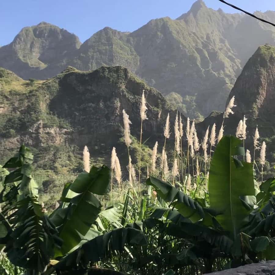 Paúl hike, the green garden - Is $116 good value?