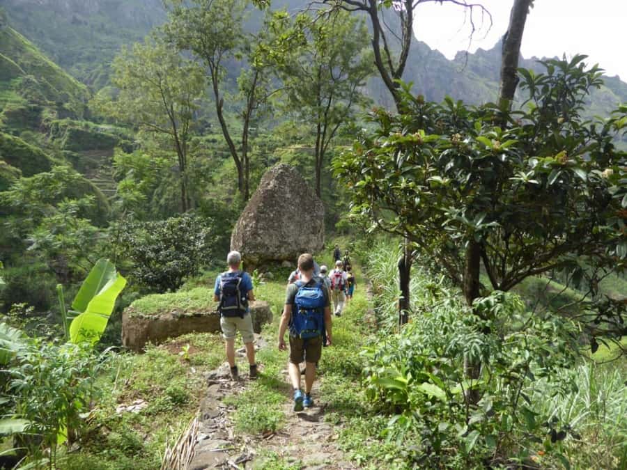 Paúl hike, the green garden - Farms, fruit trees, and rural footpaths