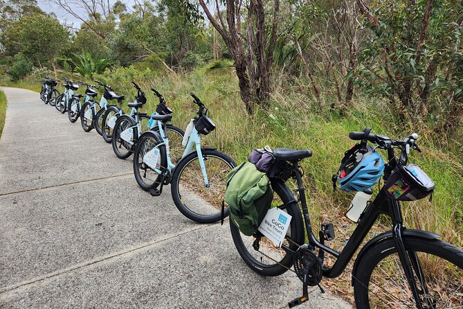 Pedals & Petals - Discovering Wildflowers Bike Tour Kings Park - Morning or afternoon: choosing your departure