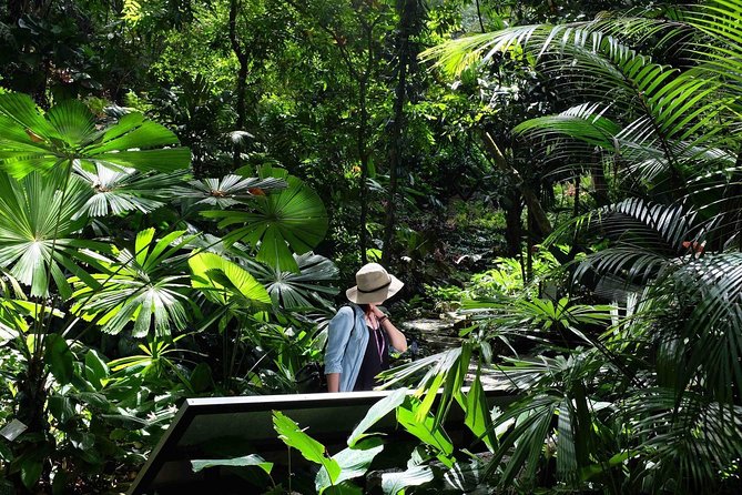 Penang Round Island Tour With Tropical Spice Garden & Entopia Butterfly Farm - Penang Batik Factory: craft with a sales-room edge
