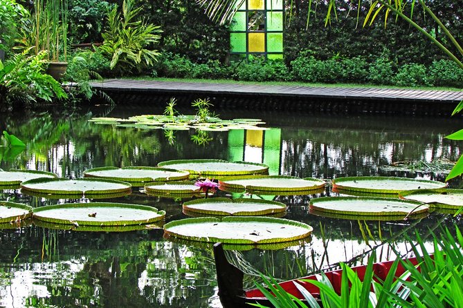 Penang Round Island Tour With Tropical Spice Garden & Entopia Butterfly Farm - Penang Esplanade and Fort Cornwallis: a quick historical beginning