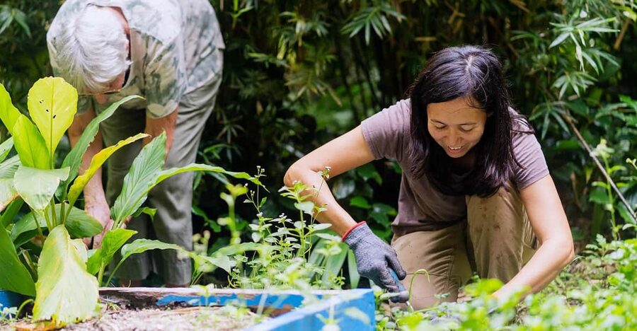 Penang: Tropical Spice Garden Entrance Ticket & Guided Tours - Learning why spices matter