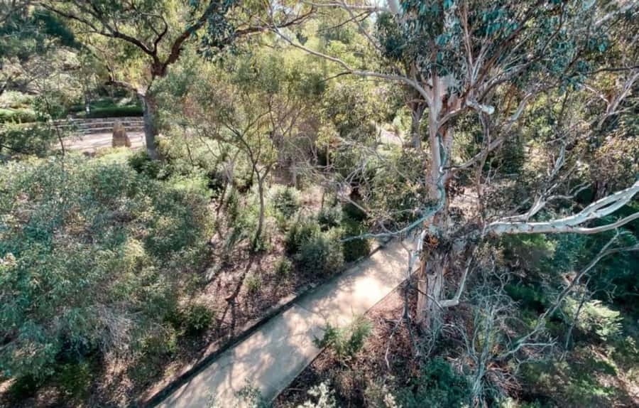 Perth: Kings Park Botanicals & Beyond Guided Hike - Key points to know before you book