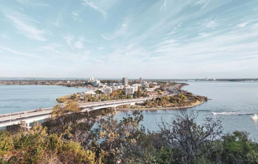 Perth: Kings Park Botanicals & Beyond Guided Hike - Meeting Gija Jumulu, the ancient Boab tree