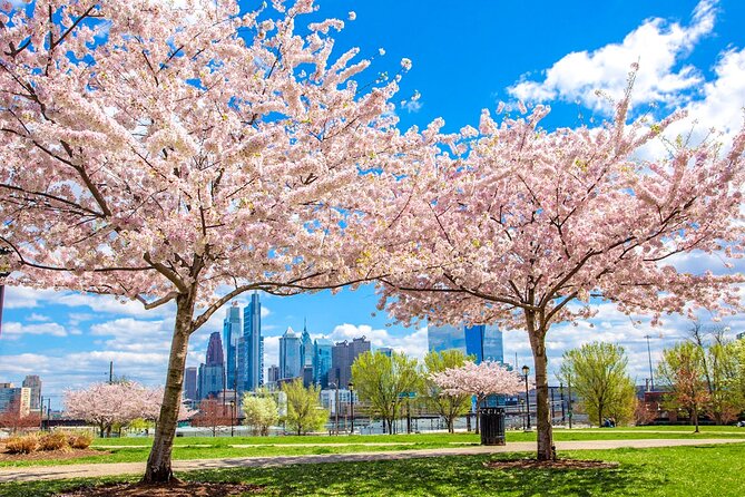 Philadelphia Cherry Blossom 1-Day Tour from New York - The early pickup plan from New York and New Jersey