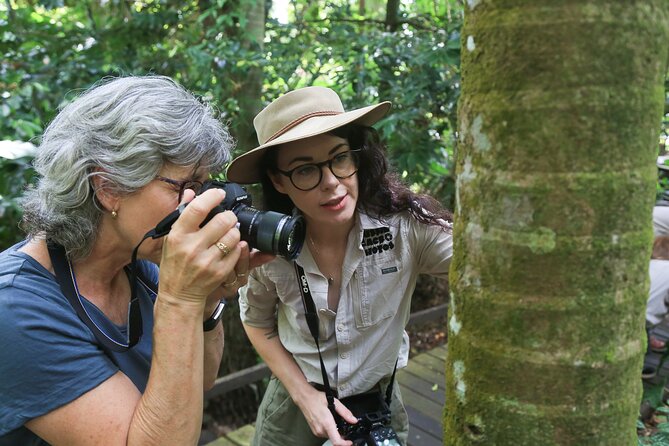 Photography and Nature in Cairns Botanic Gardens Let's Go Buggin - Learning macro photography without fancy equipment
