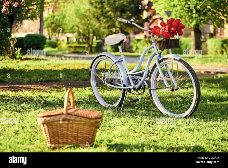 Picnic next to Lavender fields by e-bike - Practical advice for a better day