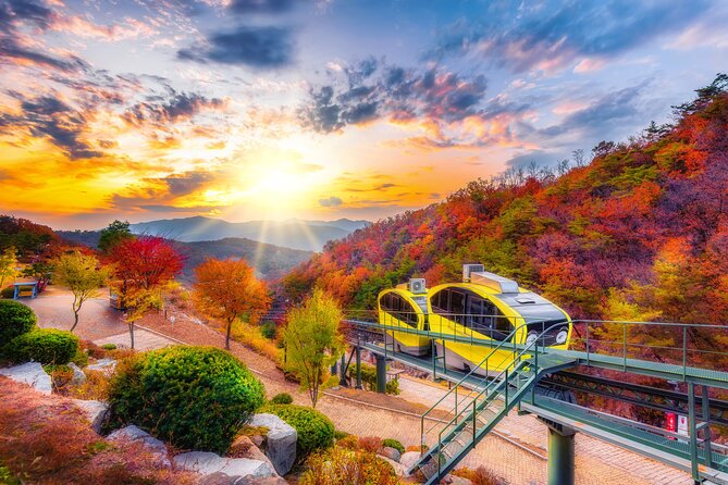 Pocheon Art Valley, Garden & Fruit Picking Day Tour from Seoul - Why Pocheon makes a useful break from Seoul