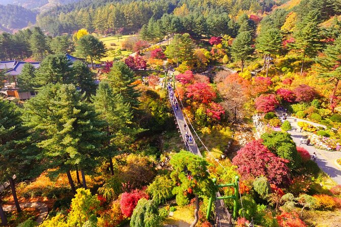 Pocheon Art Valley, Garden & Fruit Picking Day Tour from Seoul - Fruit picking and farm activities: fun, but check the wording
