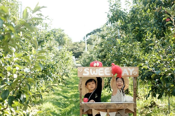 Pocheon Art Valley, Garden & Fruit Picking Day Tour from Seoul - Is $72.38 a good value?