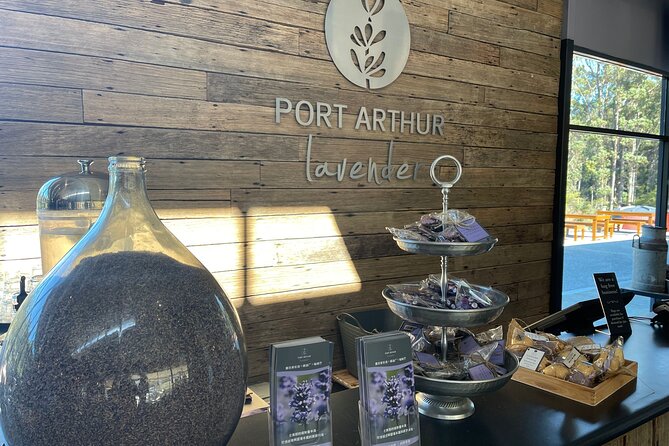 Port Arthur, Richmond and Lavender Active Day Tour - Port Arthur Historic Site: the day’s main event