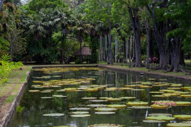 Port Louis and Pamplemousses Garden - A full day trip - The guides can shape the entire day
