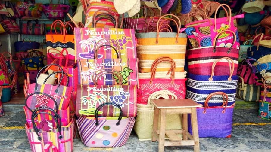 Port Louis Market, Botanical Garden -Northern Mauritius Tour - Transport, comfort, and practical details