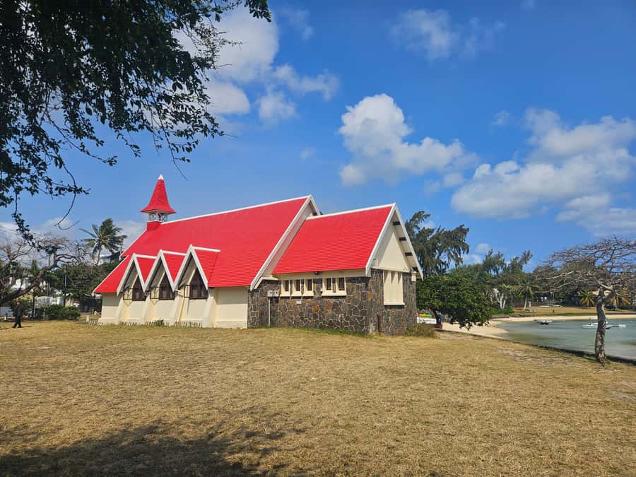 Port Louis: Mont Choisy, Botanical Garden, and Church Tour - Why this private day works well