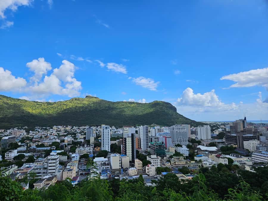 Port Louis: Mont Choisy, Botanical Garden, and Church Tour - Pamplemousses Botanical Garden: allow room to wander