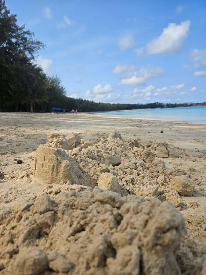 Port Louis: Mont Choisy, Botanical Garden, and Church Tour - Mont Choisy or Trou aux Biches for a swim