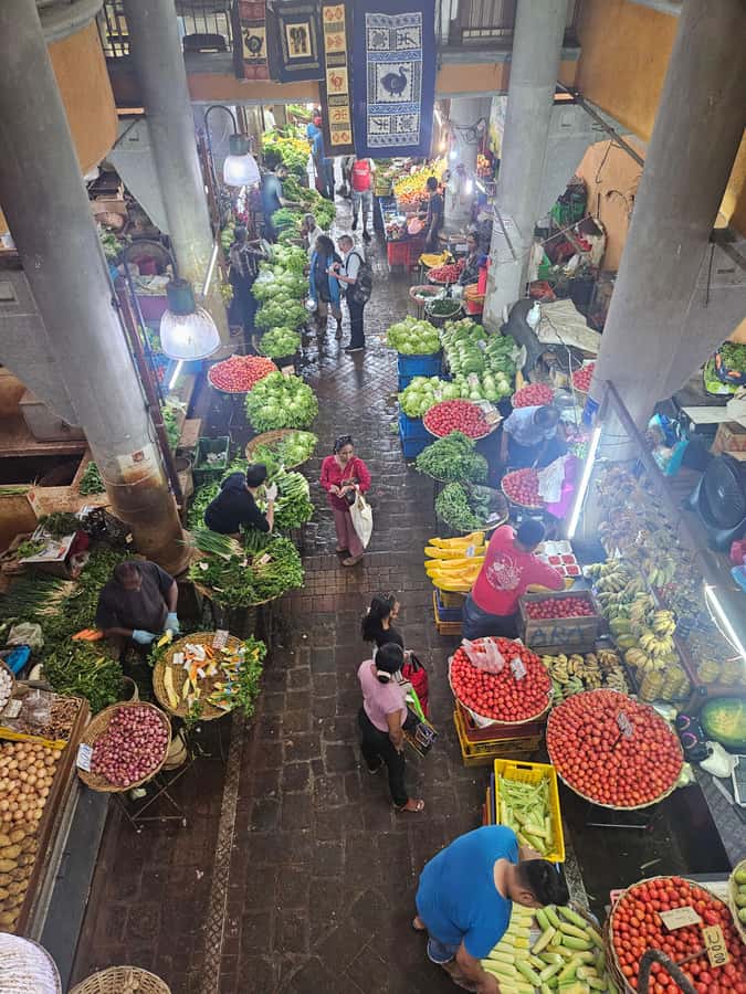 Port Louis: Mont Choisy, Botanical Garden, and Church Tour - Comfort, timing, and practical value