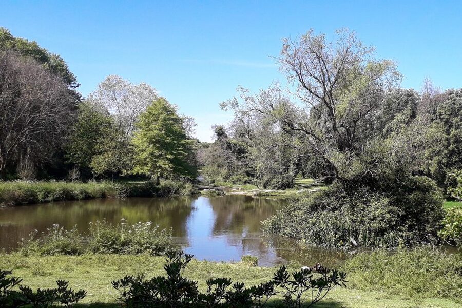 Porto Riverbank Tour on an e-bike: Atlantic Coast, Gardens - Who should book this ride?