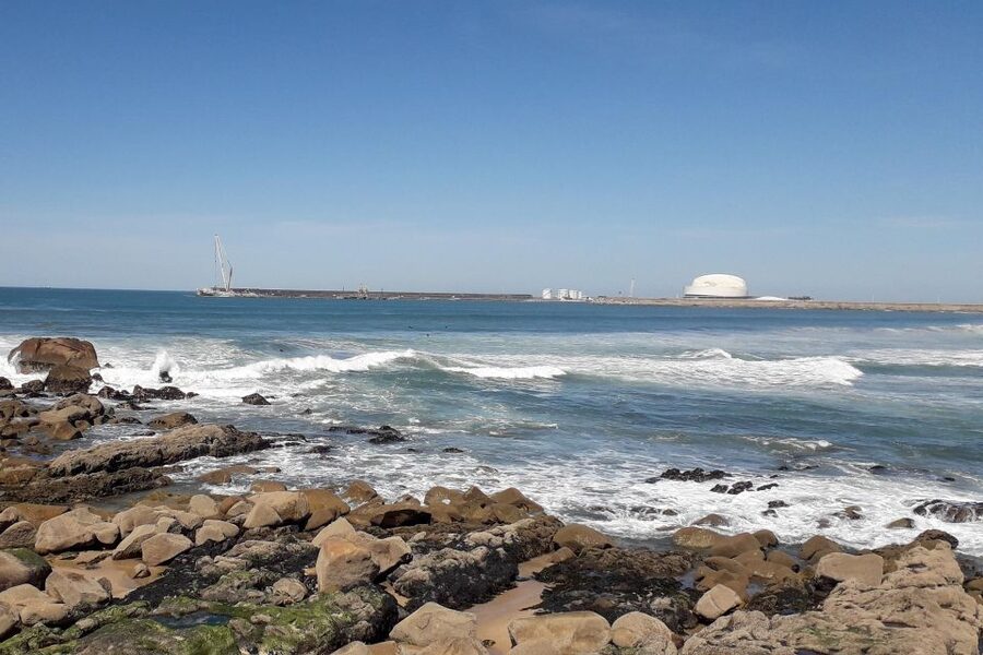 Porto Riverbank Tour on an e-bike: Atlantic Coast, Gardens - Jardim do Passeio Alegre and the Foz coast