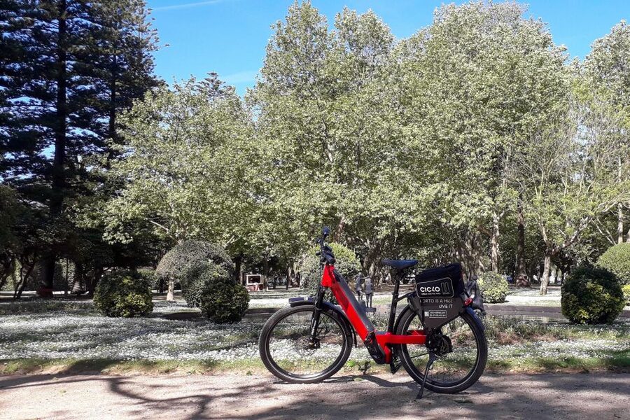 Porto Riverbank Tour on an e-bike: Atlantic Coast, Gardens - Returning through Massarelos and Porto’s churches