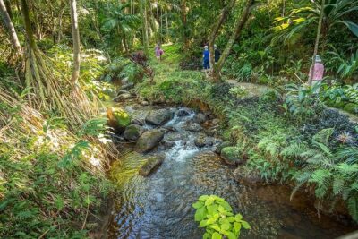 Princeville Botanical Gardens Tour and Chocolate Tasting Ticket