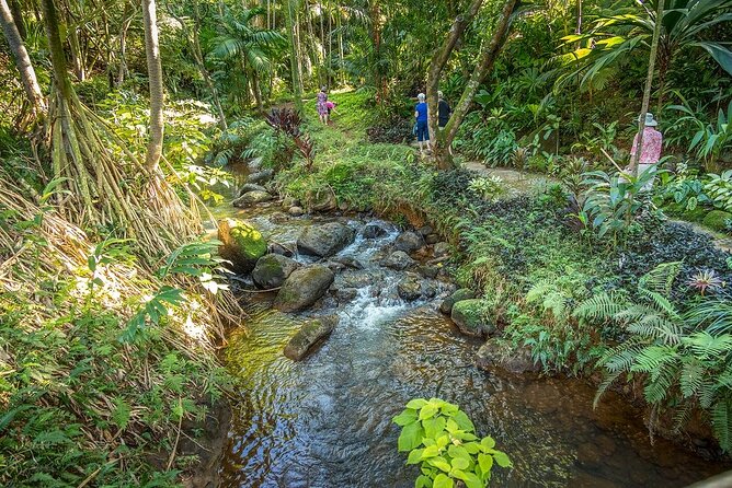 Princeville Botanical Gardens Tour and Chocolate Tasting Ticket - Starting at 9:30 a.m. in Princeville