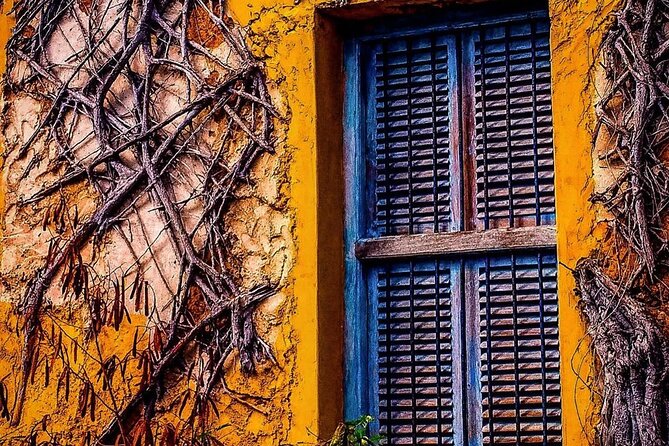 Prison Island Tour, Stone Town, Secret Garden, Spice Tour, Emerson Restaurant - Prison Island: beautiful setting, difficult past