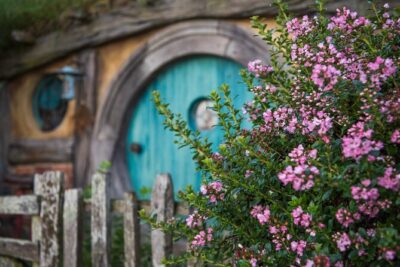 Private 2 Day Tour: Hobbiton, Waitomo, Rotorua Geothermal & Hamilton Gardens