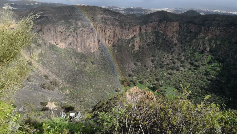 Private Bandama Caldera Volcano, Botanic Garden & Old Town - Guide quality and languages