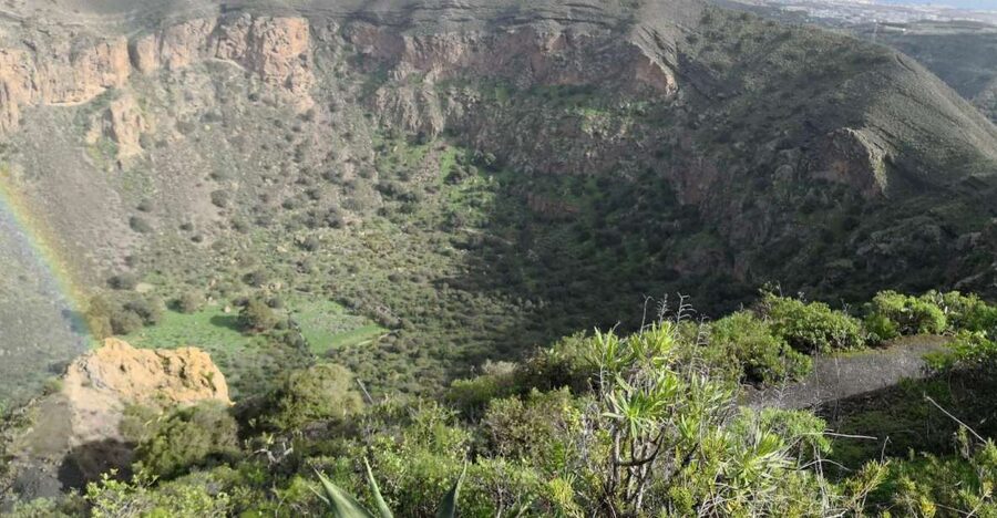 Private Bandama Caldera Volcano, Botanic Garden & Old Town - Las Palmas Old Town: a short introduction with free time