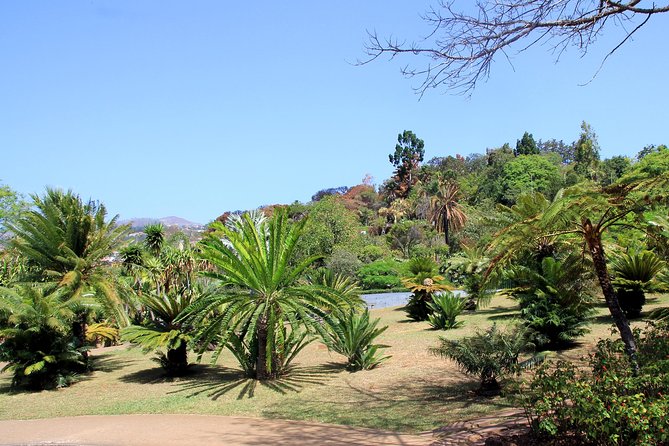 Private Botanical Garden Tour - Why a tuk-tuk works well on Funchal’s hills