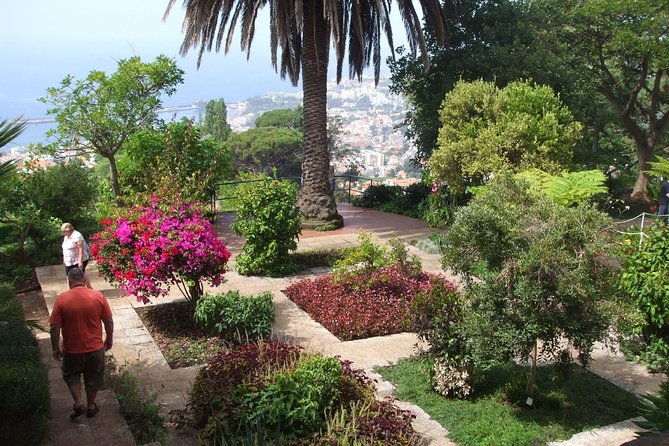 Private Botanical Garden Tour - From central Funchal to Madeira Botanical Garden