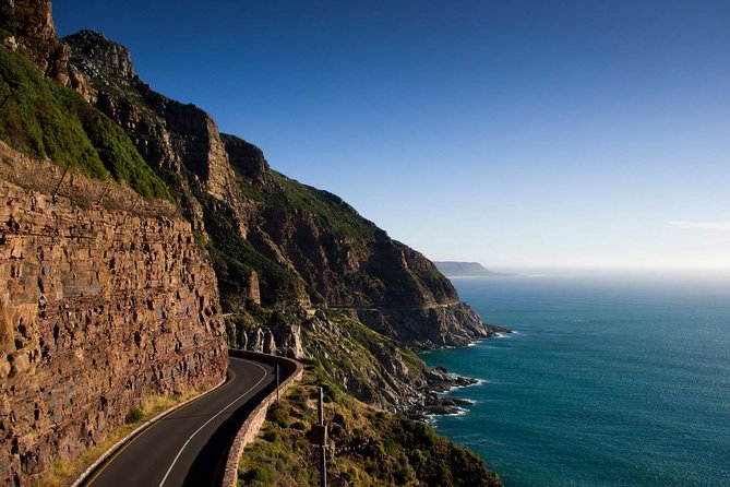 Private Cape Peninsula + Kirstenbosch Garden Full Day Guided Tour - Why this private Cape Peninsula day works well