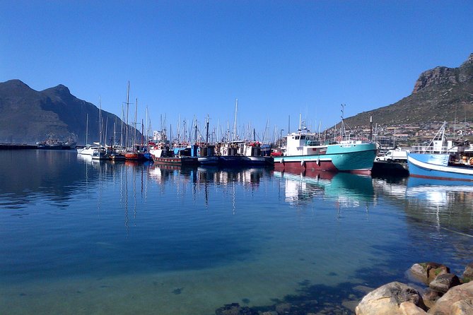 Private Cape Peninsula + Kirstenbosch Garden Full Day Guided Tour - Simons Town and Boulders Beach penguins